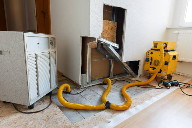 Best Asbestos and Lead Testing During Mold Inspection  in Morrisville, PA